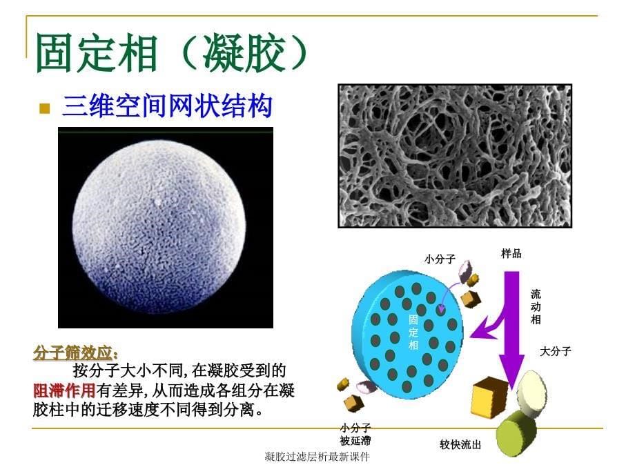 凝胶过滤层析最新课件_第5页