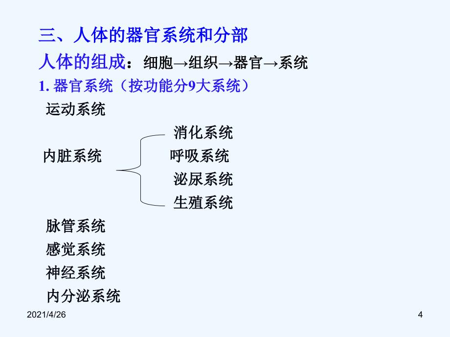 人体解剖学―绪论_第4页