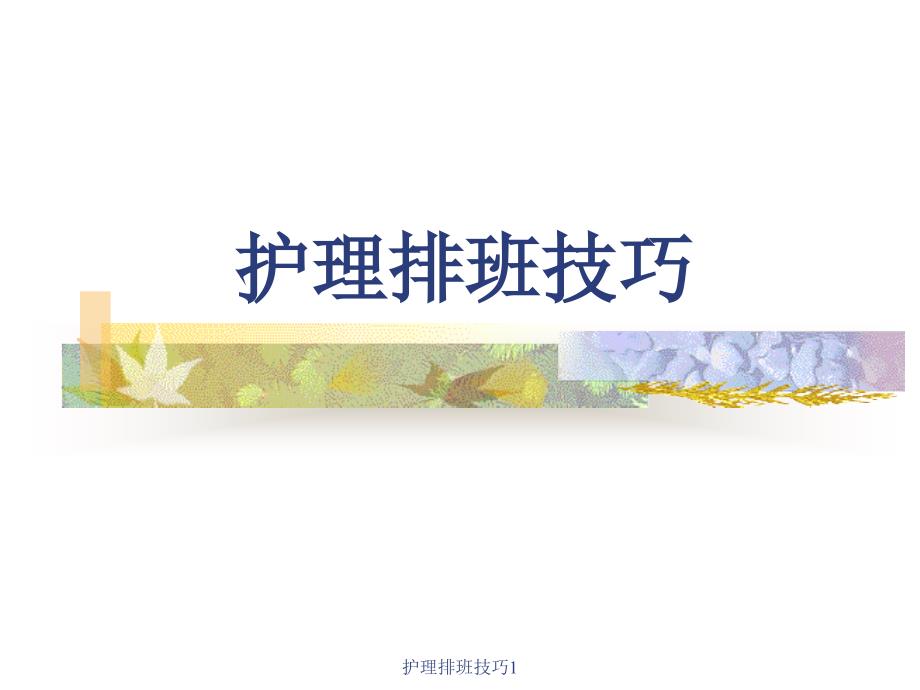 护理排班技巧_第1页