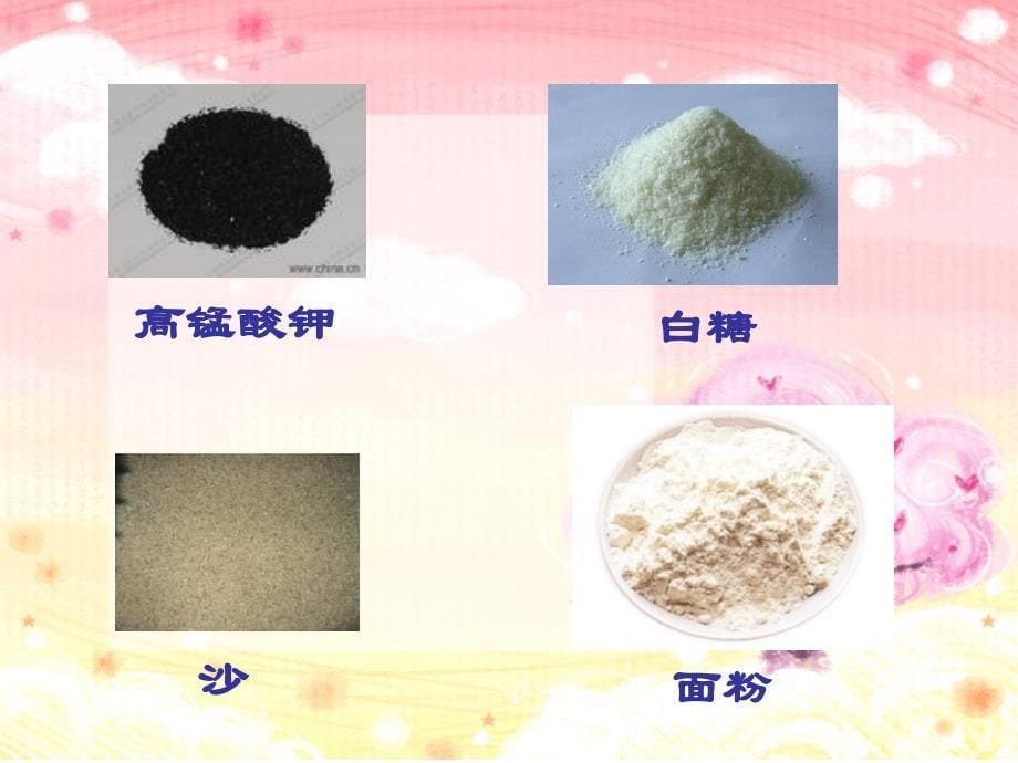 教科版科学四年级上册二单元二课_第5页