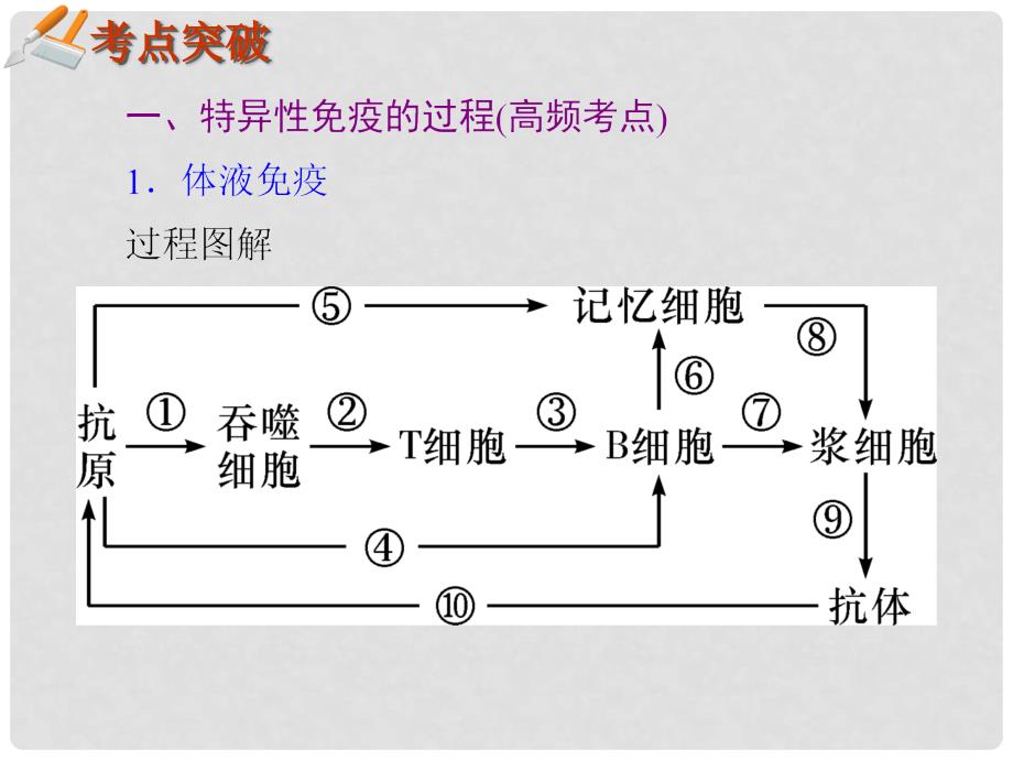 湖南生物复习二轮课件 专题5.16免疫调节_第2页