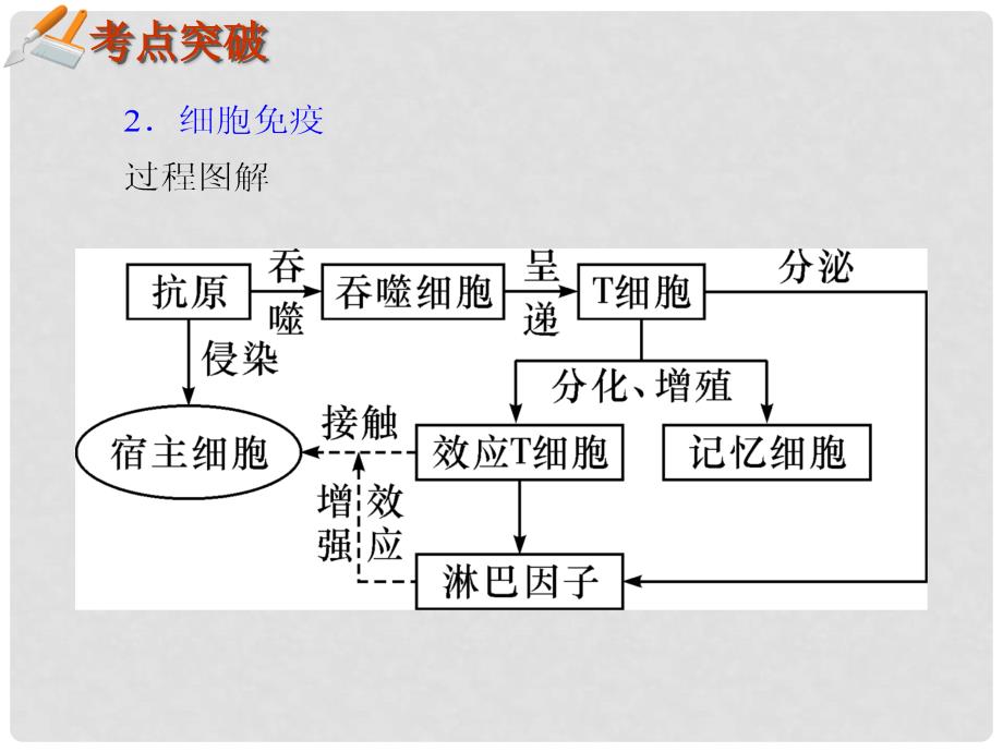 湖南生物复习二轮课件 专题5.16免疫调节_第3页