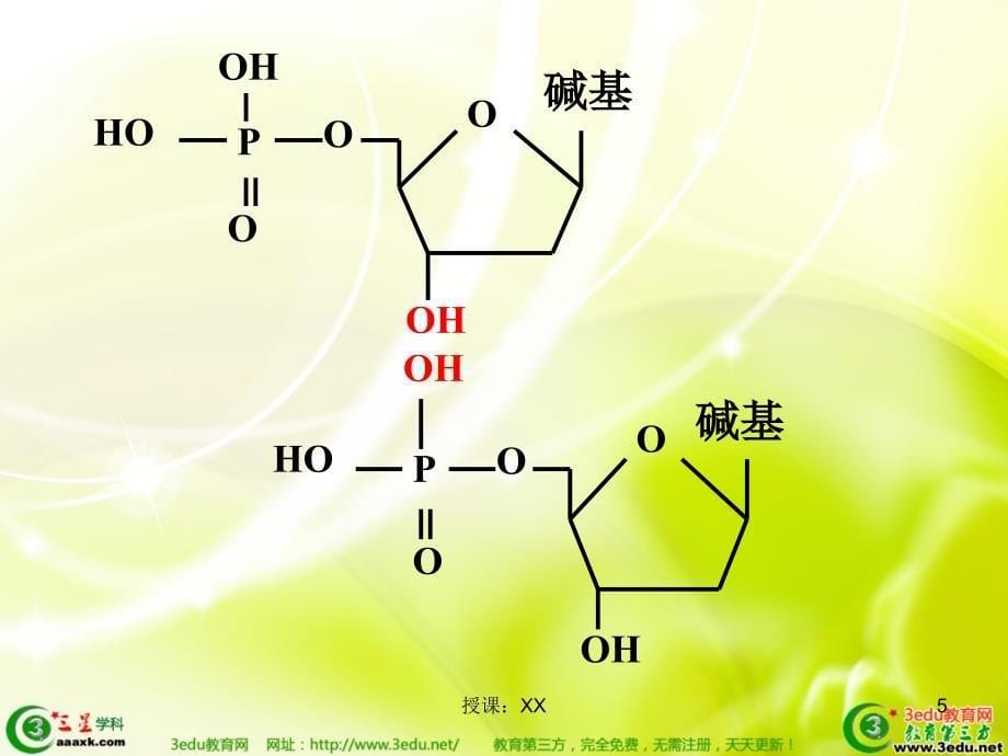 高二生物PCR技术(课堂PPT)_第5页