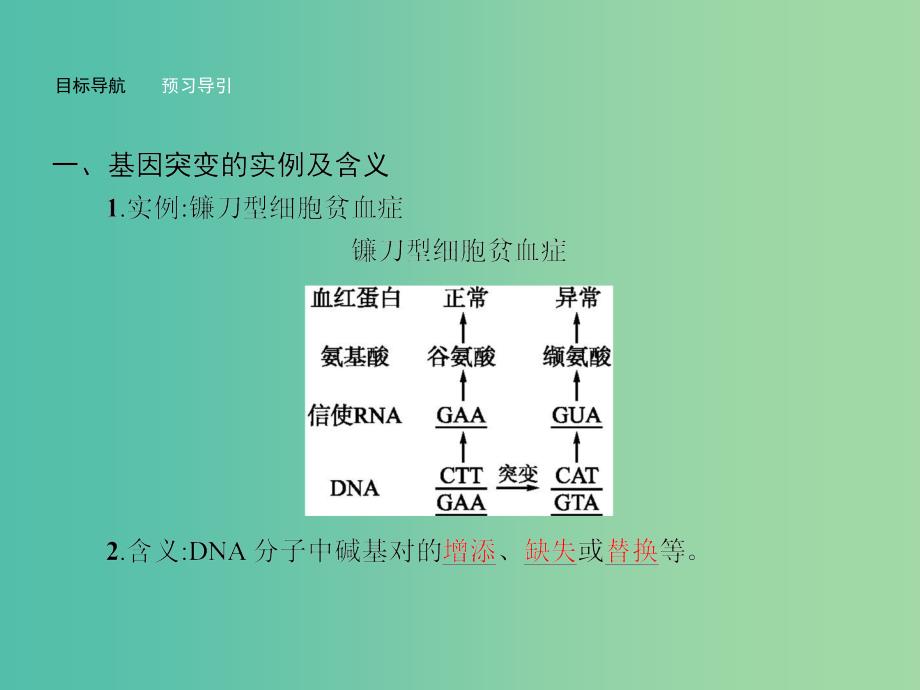 高中生物 4.4.1 基因突变课件 苏教版必修2.ppt_第4页