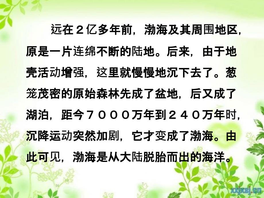 五年级语文下册拓展知识我国四大海简介课件教科版教科版小学五年级下册语文课件_第4页