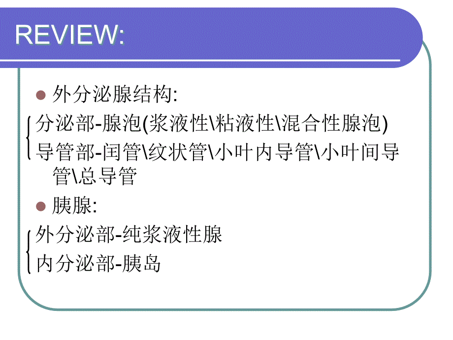 实习十一消化腺.ppt_第3页