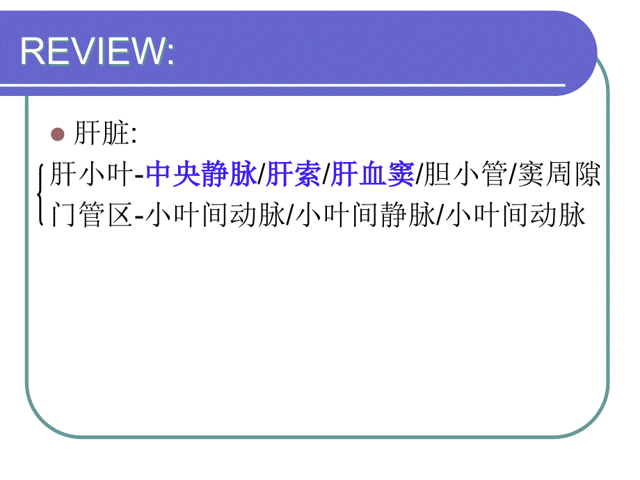 实习十一消化腺.ppt_第4页