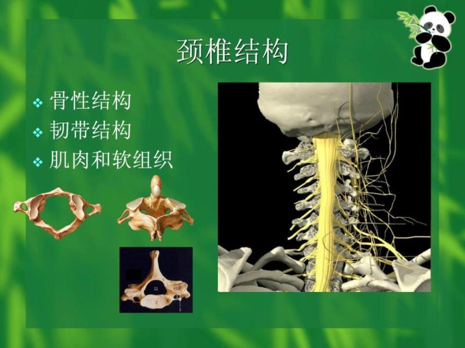 康复医学颈椎病康复宝典ppt课件_第4页