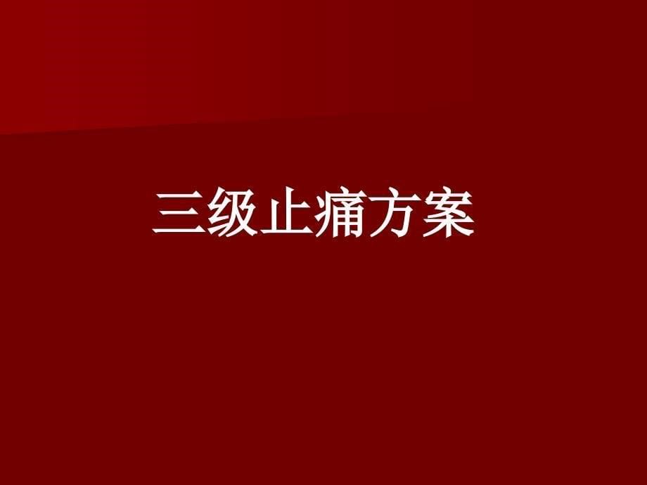 晚期肿瘤病人护理ppt课件.ppt_第5页