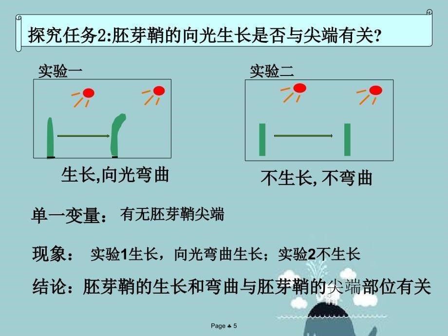 人教版教学高中生物人教版必修三第3章第1节植物生长素发现_第5页