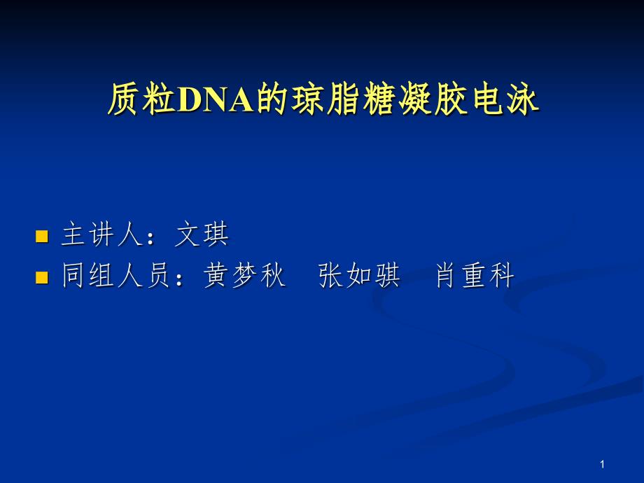 DNA琼脂糖凝胶电泳分析课堂PPT_第1页