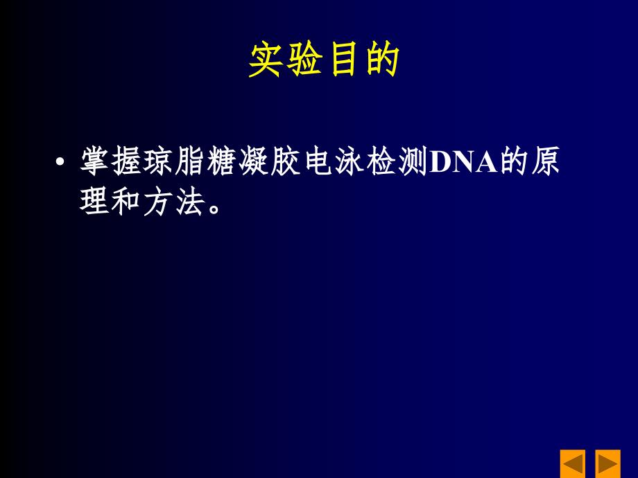 DNA琼脂糖凝胶电泳分析课堂PPT_第2页