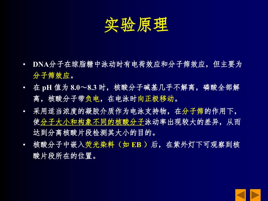 DNA琼脂糖凝胶电泳分析课堂PPT_第3页