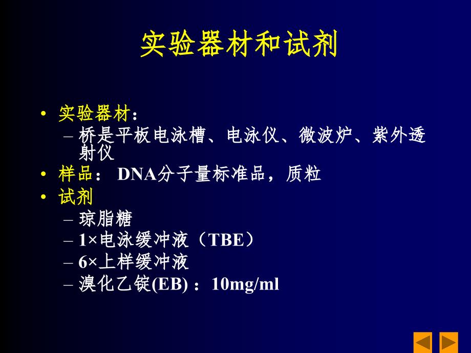 DNA琼脂糖凝胶电泳分析课堂PPT_第4页