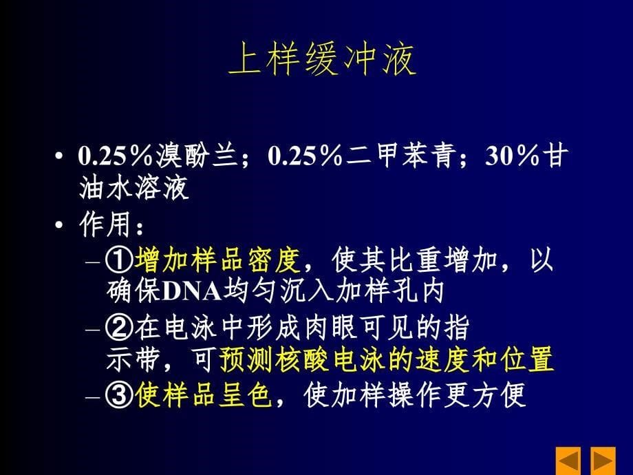 DNA琼脂糖凝胶电泳分析课堂PPT_第5页