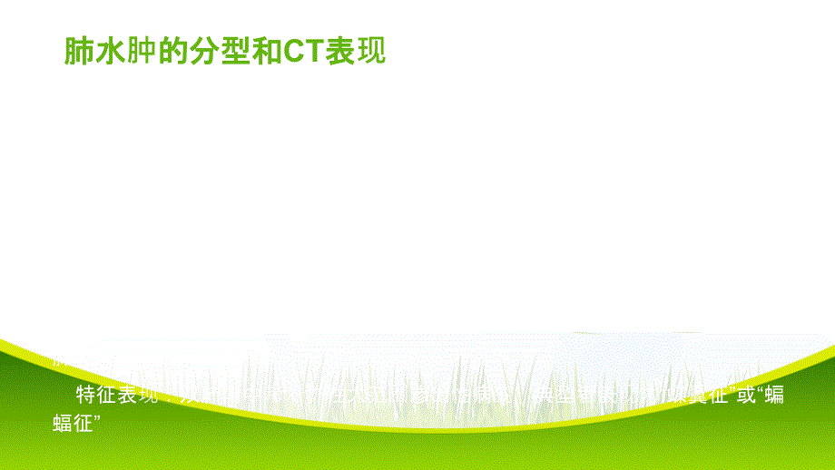 肺水肿影像学表现_第3页