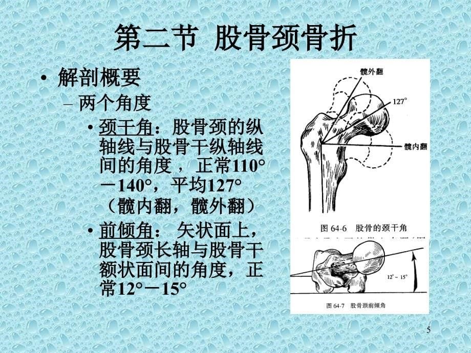 下肢骨、关节损伤课件_第5页