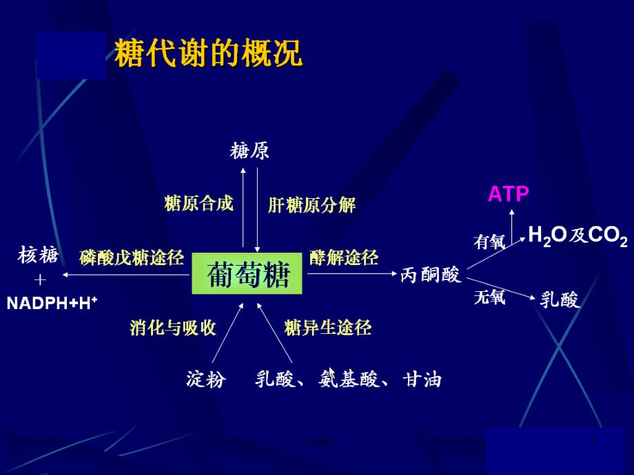 高乳酸血症与肝病【专业研究】_第3页