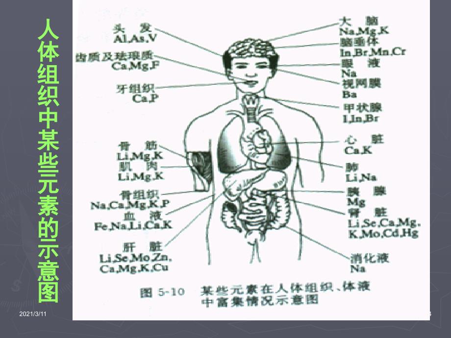 lpyAAA课题2-化学元素与人体健康_第4页