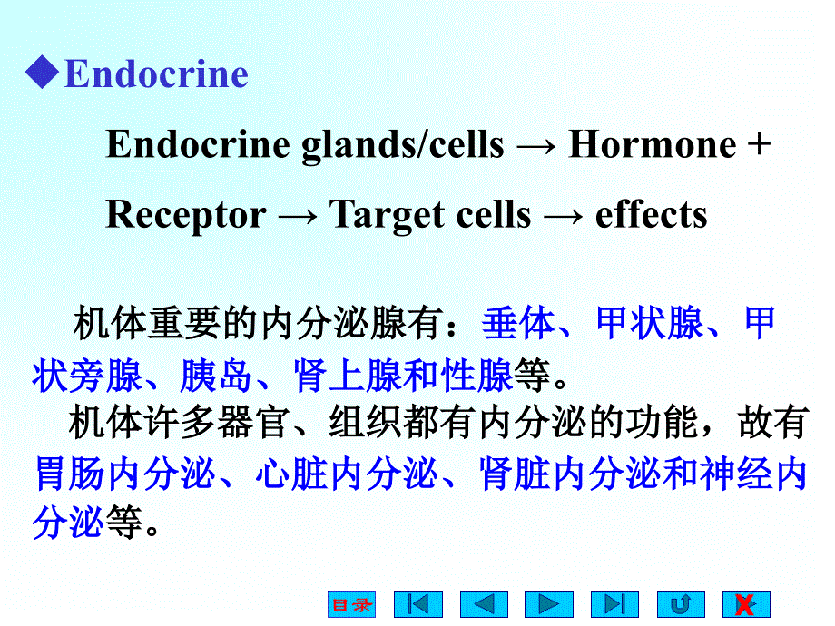 内分泌(卓越班)课件_第3页