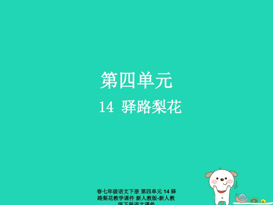 最新七年级语文下册第四单元14驿路梨花教学课件新人教版新人教级下册语文课件_第2页