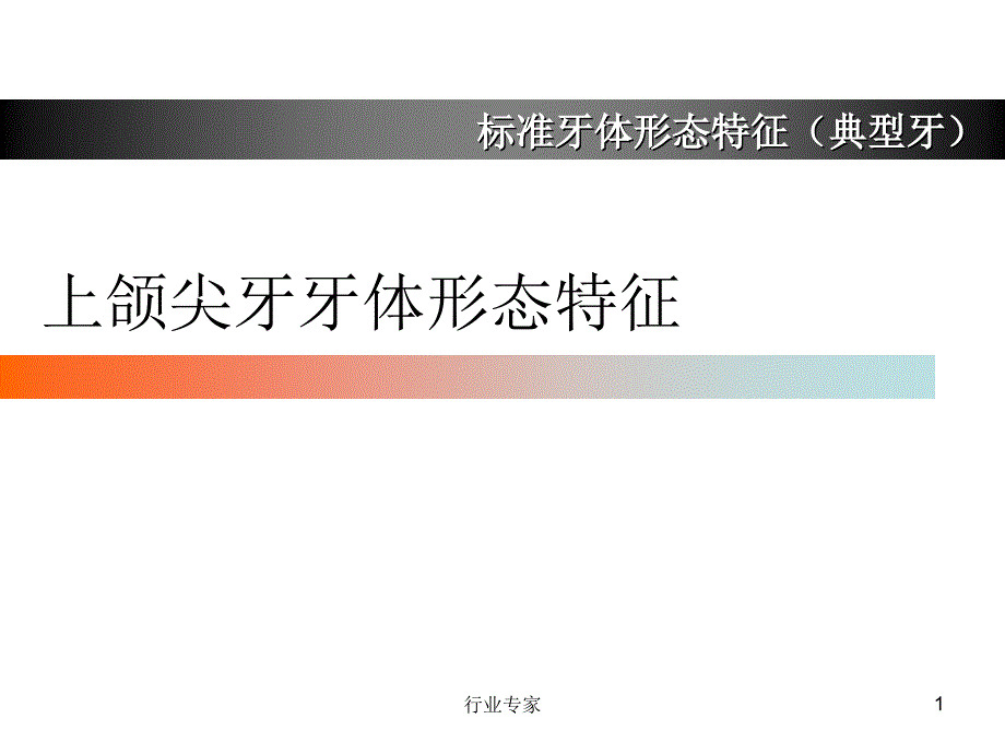 上颌尖牙牙体形态简述行业严选_第1页