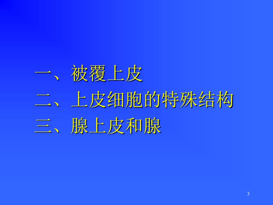 上皮组织与结缔组织ppt课件_第3页