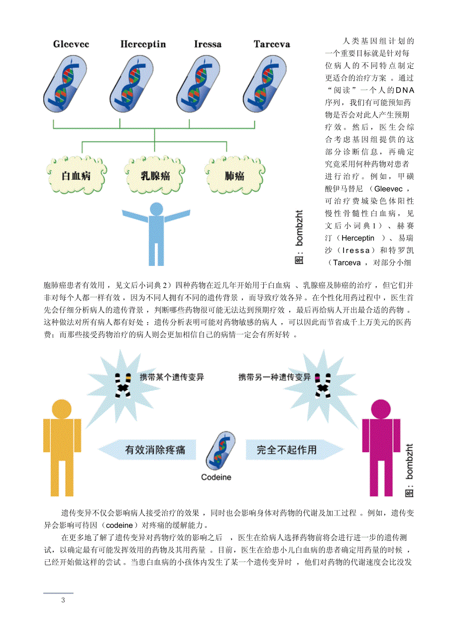 个性化用药概述_第3页