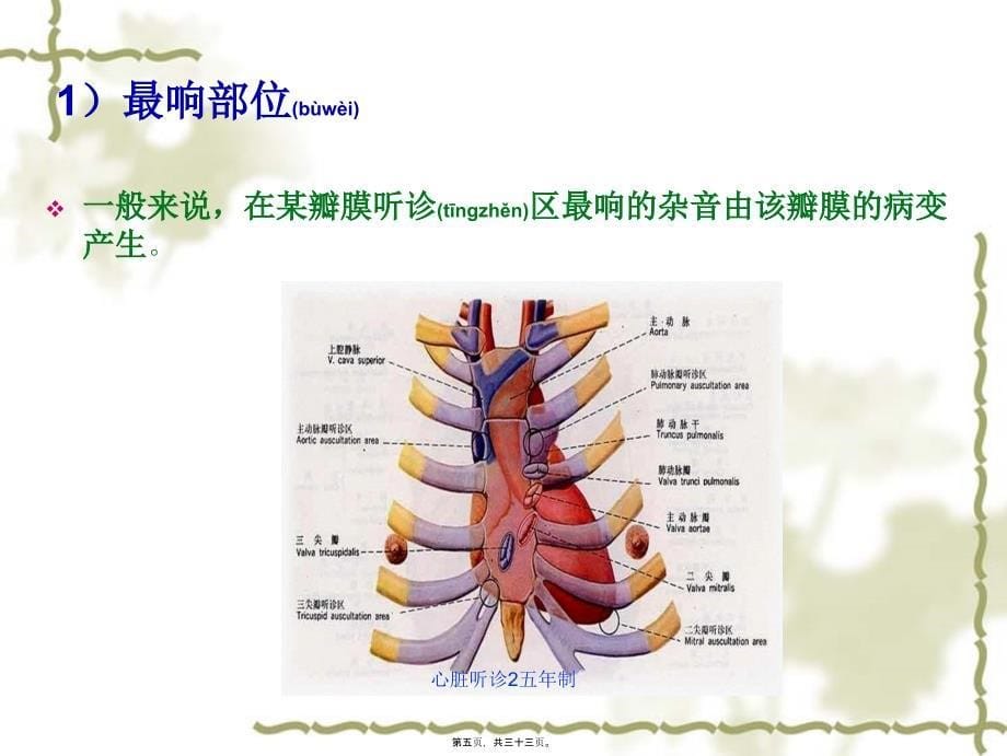 心脏听诊2五年制课件_第5页