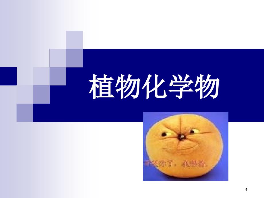 植物化学物.PPT_第1页