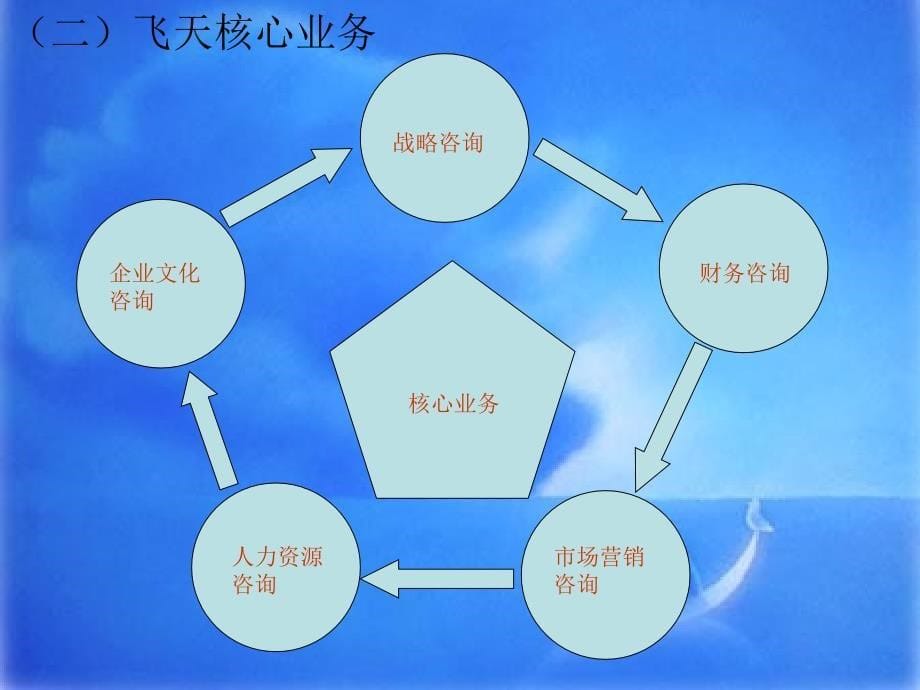 飞天管理咨询公司组织结构图终结_第5页