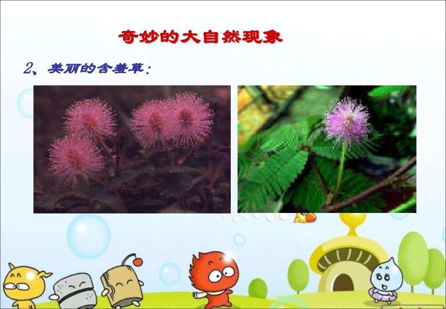 小学科学第一课ppt课件_第3页