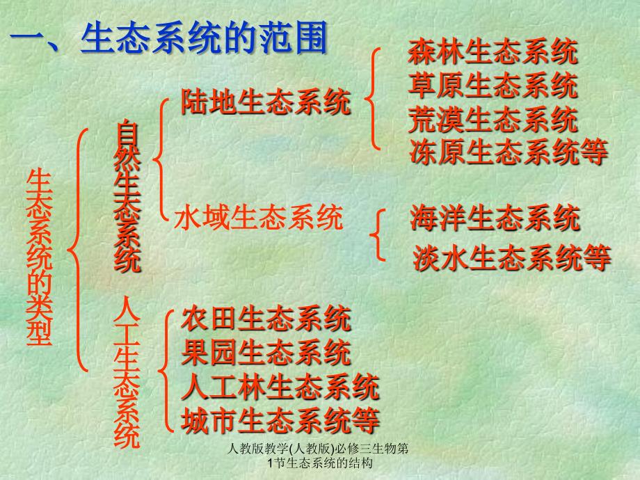 人教版教学人教版必修三生物第1节生态系统的结构课件_第4页