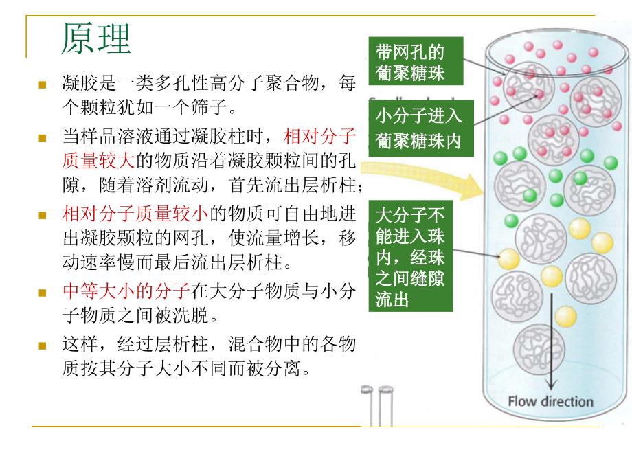 凝胶过滤层析_第4页