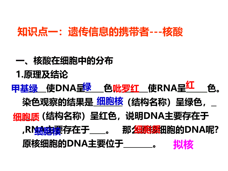 高三生物一轮复习组成细胞的分子_第2页