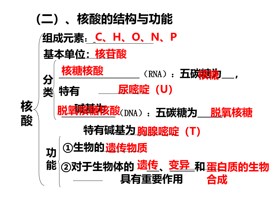 高三生物一轮复习组成细胞的分子_第4页