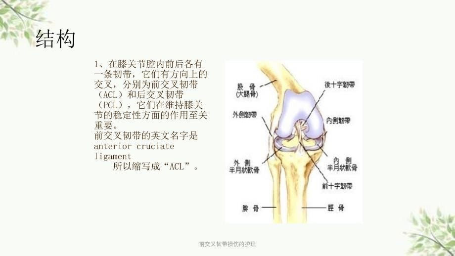 前交叉韧带损伤的护理课件_第5页