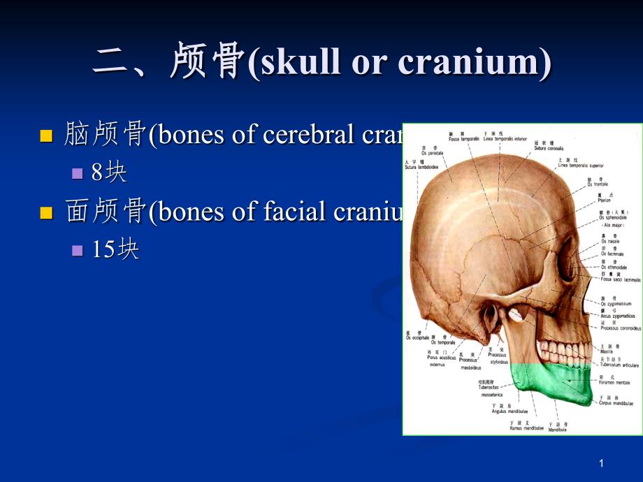 二颅骨分离颅骨PPT演示课件_第1页