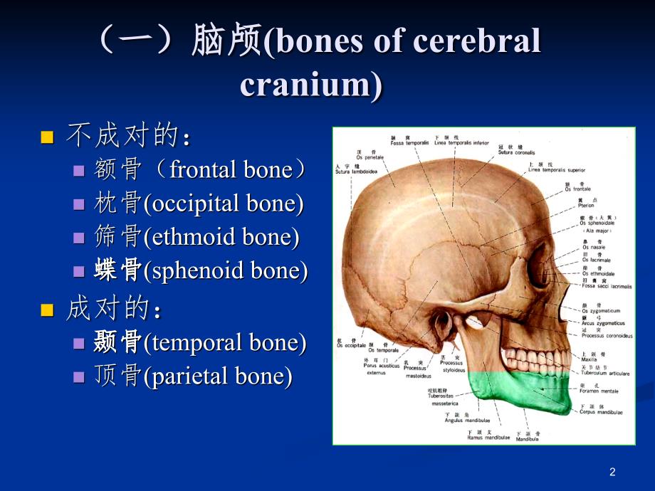 二颅骨分离颅骨PPT演示课件_第2页