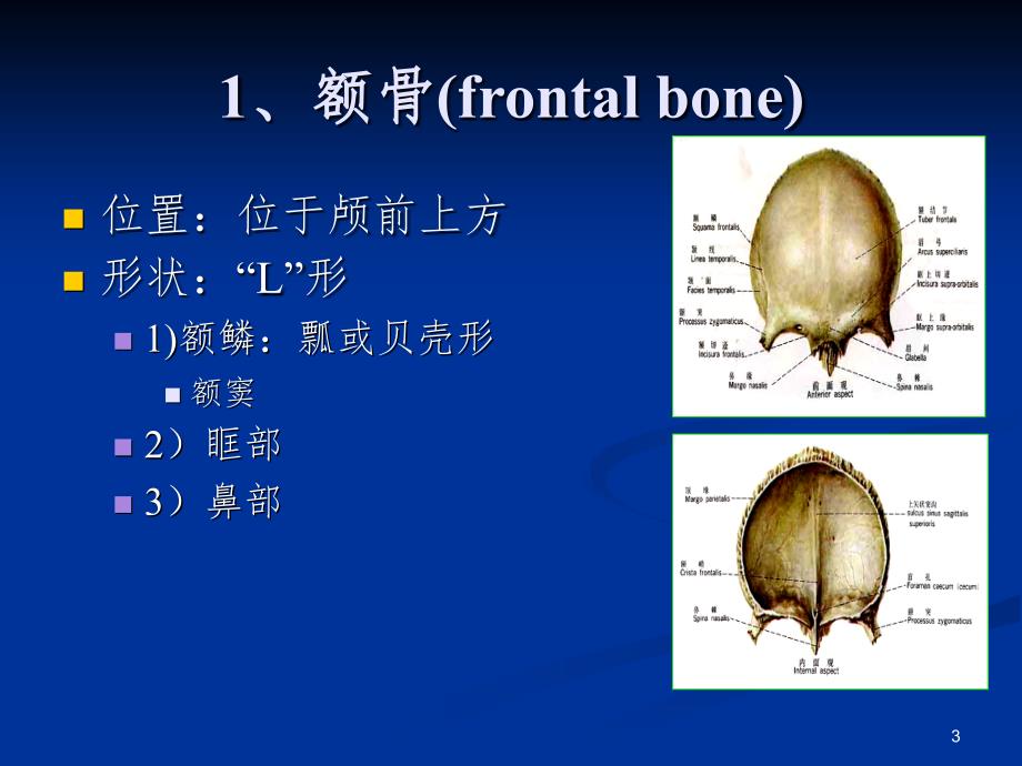 二颅骨分离颅骨PPT演示课件_第3页