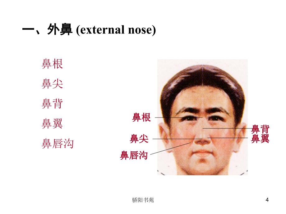 呼吸系统080403[骄阳书苑]_第4页