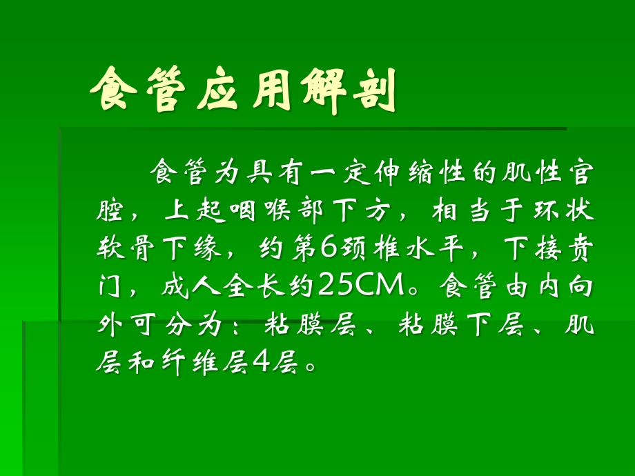 气管、支气管应用解剖_第3页