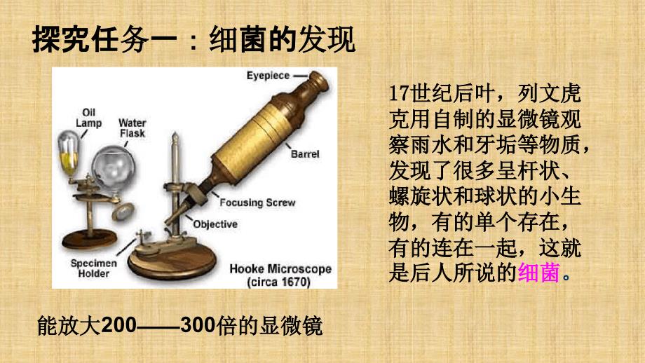 初中八年级生物上册第五单元第四章第二节细菌名师优质课件新版新人教版_第2页