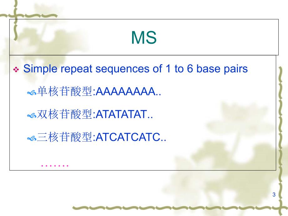 MSI检测技术ppt课件_第3页