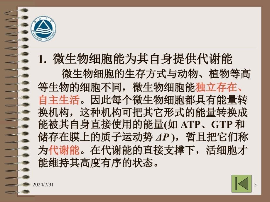 代谢工程的基本概念.ppt_第5页