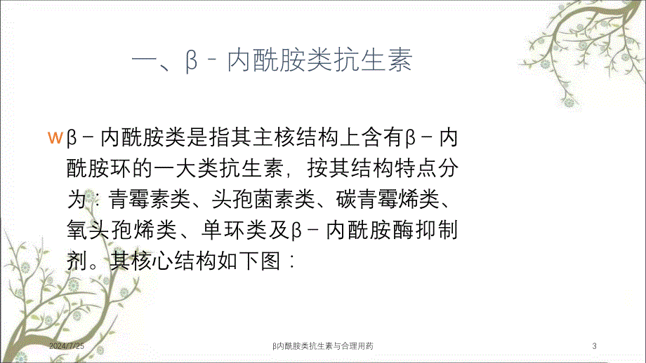 内酰胺类抗生素与合理用药课件_第3页