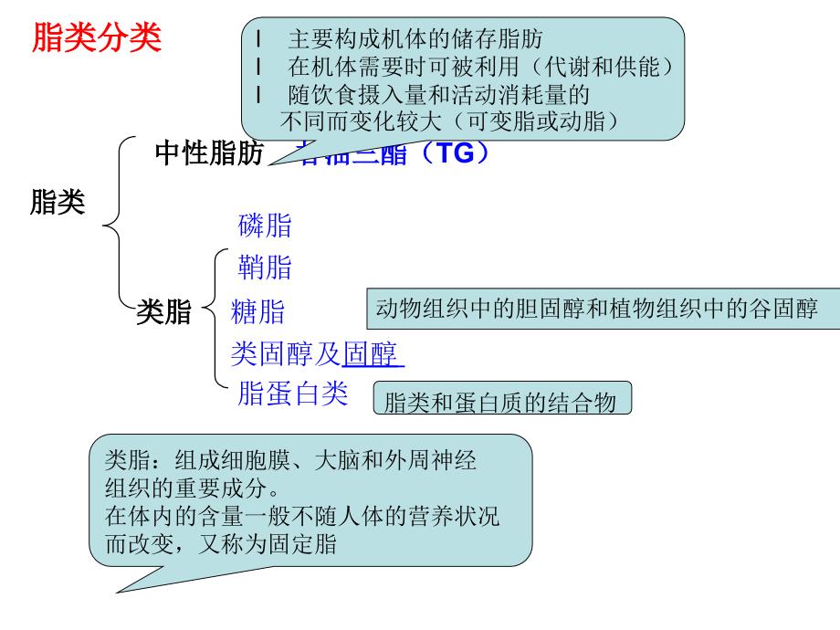 营养学第二章脂类课件_第4页