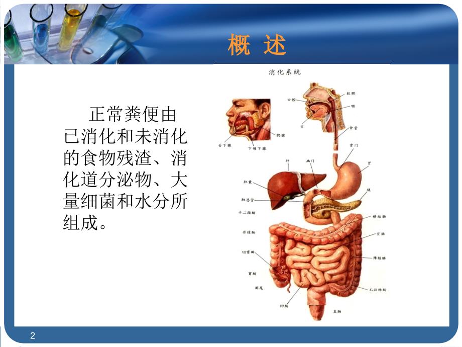 粪便检查ppt课件_第2页