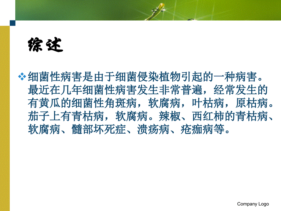 细菌性病害PPT课件_第3页