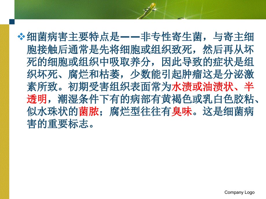 细菌性病害PPT课件_第4页